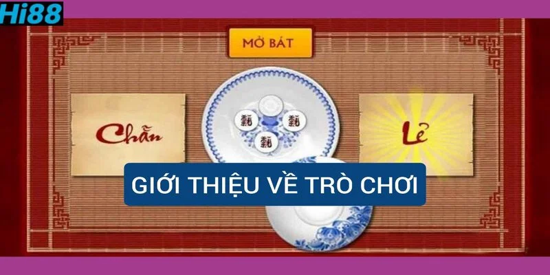 gioi-thieu-ve-tro-choi-chan-le