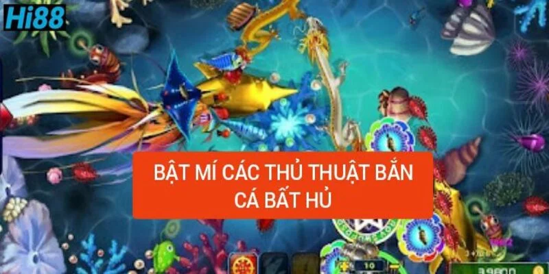 bat-mi-cac-thu-thuat-ban-ca-bat-hu